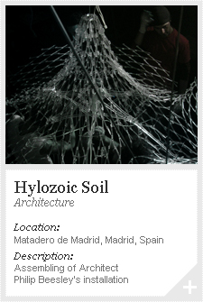 Hylozoic Soil