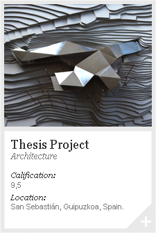 Thesis Project